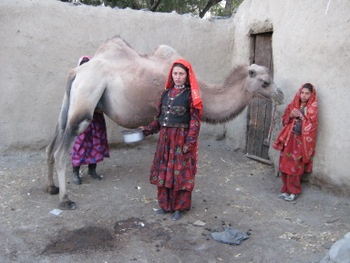 Wakhan Woman and Camel
